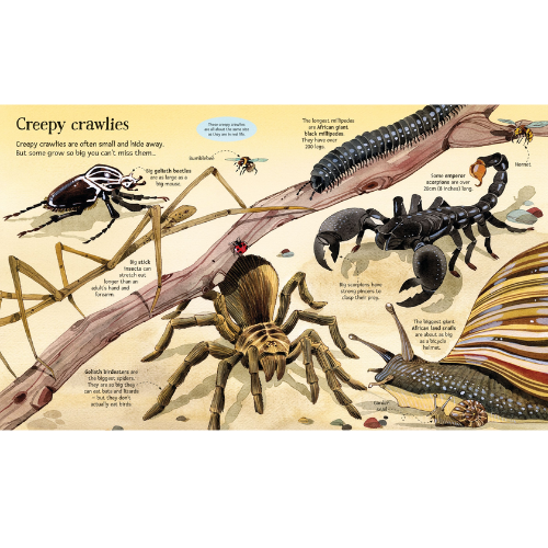 Illustration of various creepy crawlies including a spider, scorpion, and centipede on a branch.