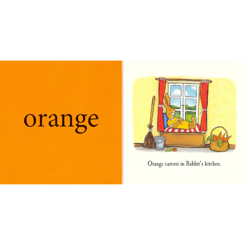 Illustration of a rabbit in a kitchen with carrots, labeled 'orange'.