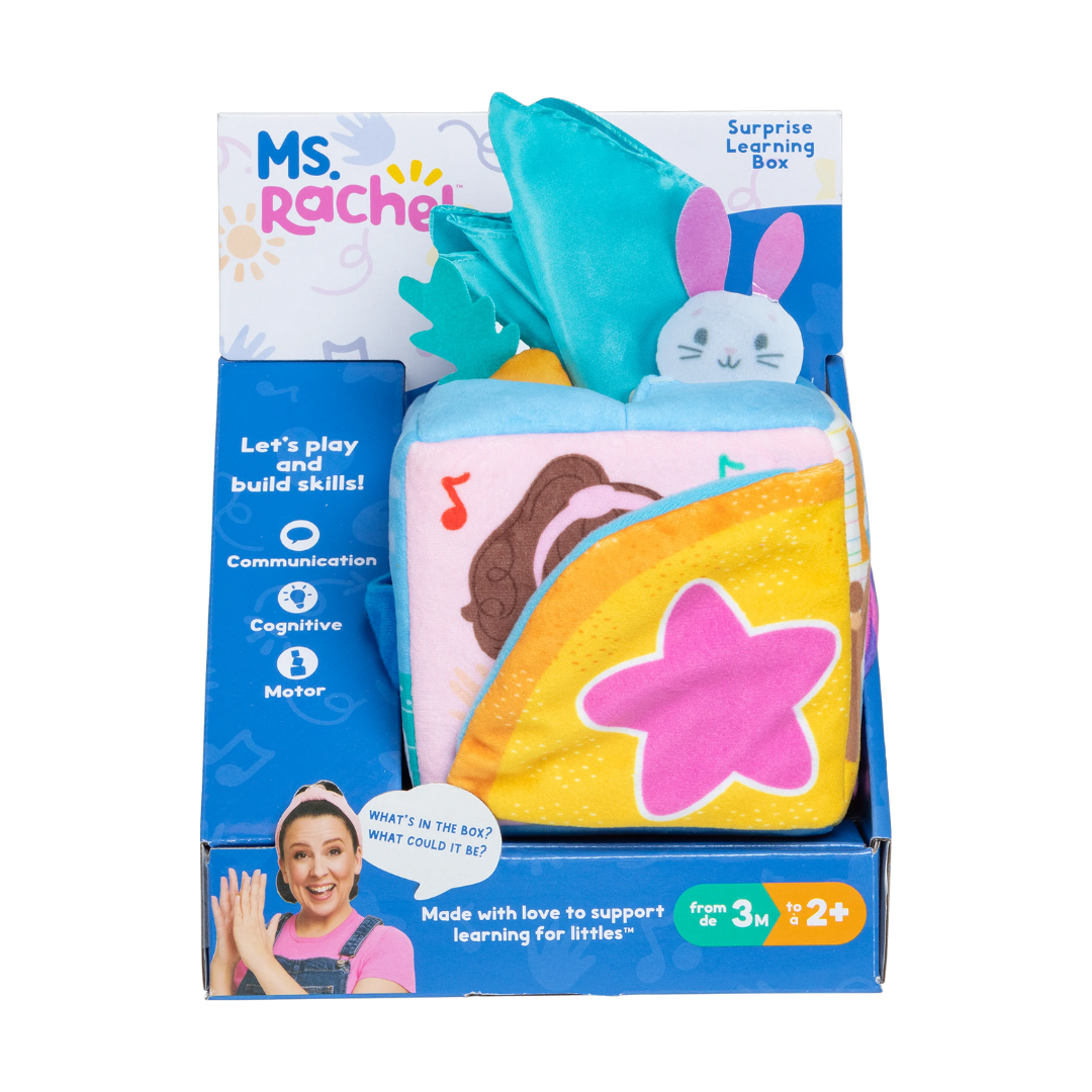 Ms Rachel Surprise Learning Box