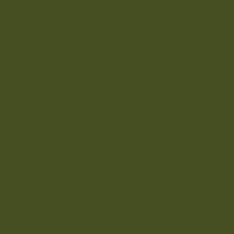 Solid green color swatch