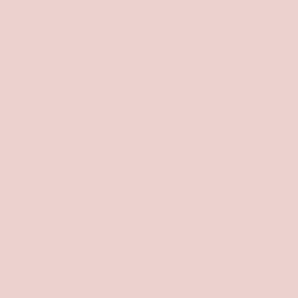 Blush pink colour Swatch