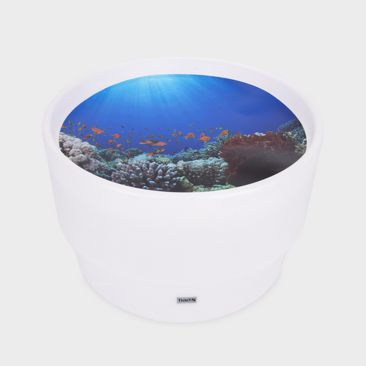 Sensory mood table with a sealife playmat