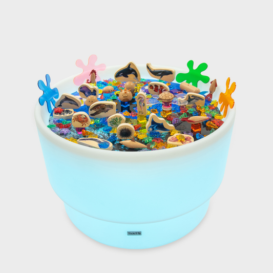 Colourful sensory table with toys and decorations on a white background