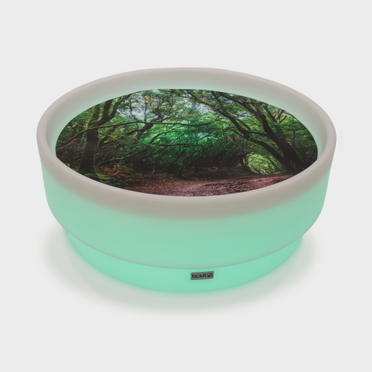 Sensory low mood discovery table with a forest tree playmat