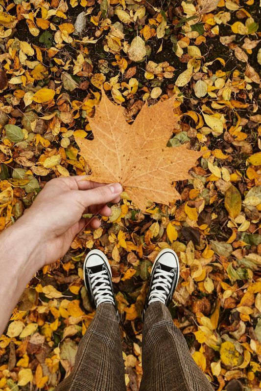 Celebrating the Autumn Equinox