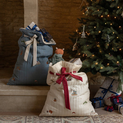Two Christmas stockings, one blue and one white with a red bow, in front of a decorated Christmas tree.