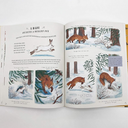 Book pages about winter and nature.