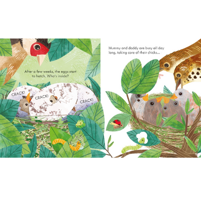 Illustrated book page with birds and nest, featuring text about eggs hatching.