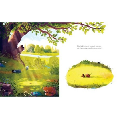 Illustration of a forest scene with animals and a close-up of a tree stump.