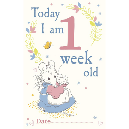 Illustration of a mouse holding a baby mouse with decorative elements and text on a light background
