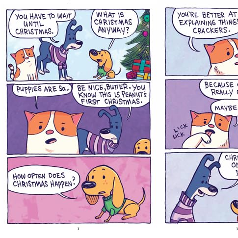 Christmas Surprise : A Peanut, Butter & Crackers story