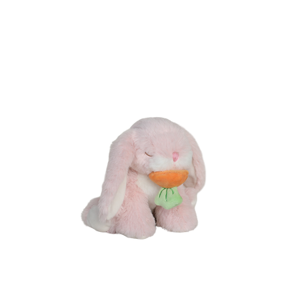 Binky Bunny - Dot