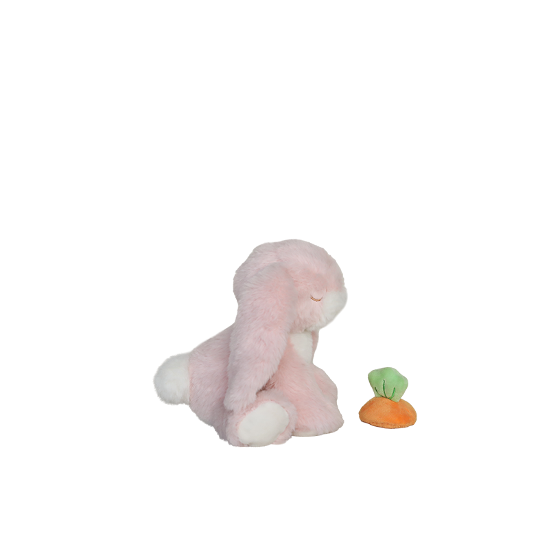 Binky Bunny - Dot