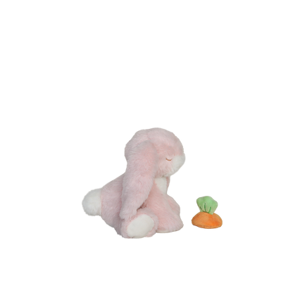 Binky Bunny - Dot