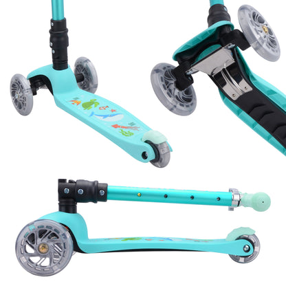 Turquoise scooter with multiple views on a white background
