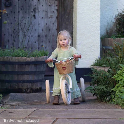 Child with a tricycle in a garden setting