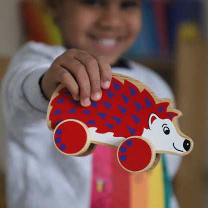 Hedgehog Push Along Toy