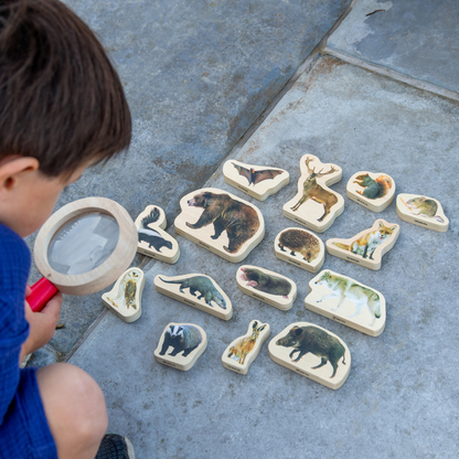 Wooden Animal Figure Blocks Bundle