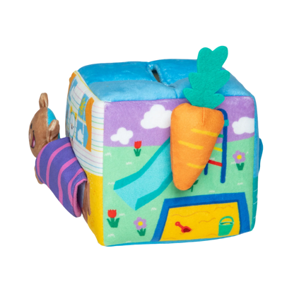 Ms Rachel Surprise Learning Box